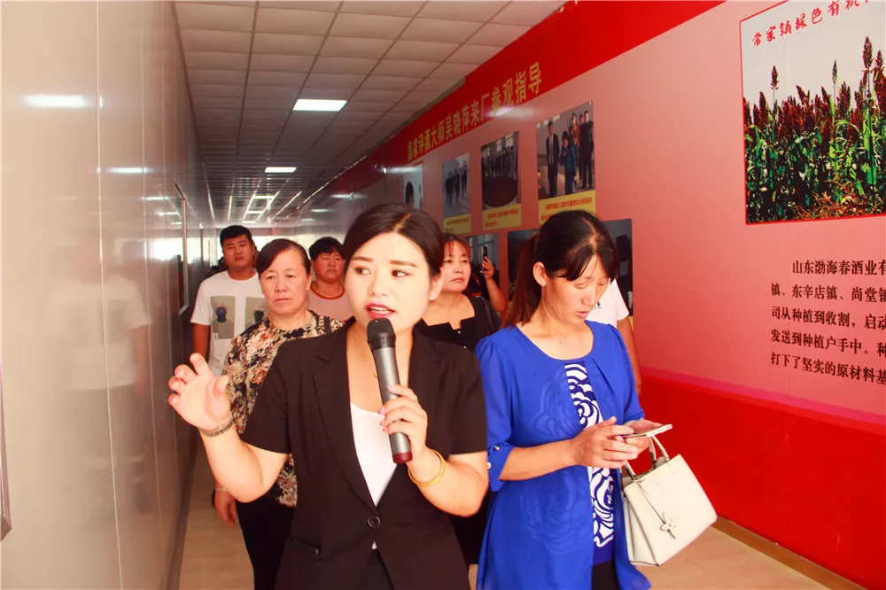 山东渤海春酒业有限公司