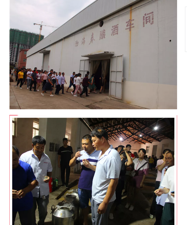 山东渤海春酒业有限公司