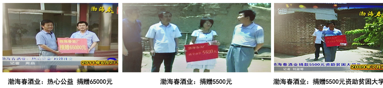 山东渤海春酒业有限公司