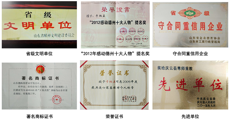 山东渤海春酒业有限公司